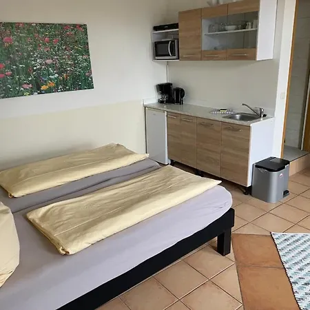 Pansiyon Hummelhus Elmenhorst *